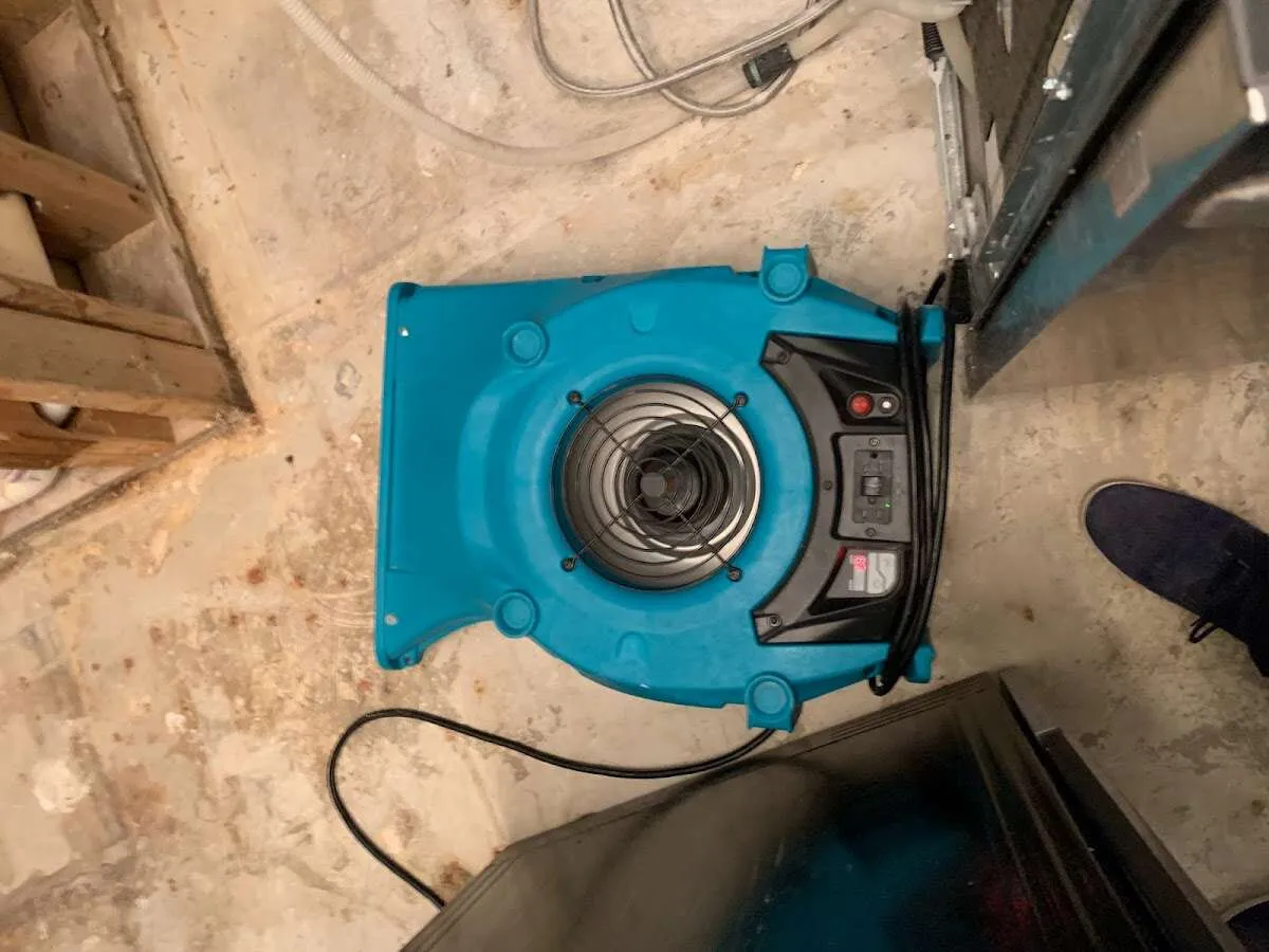 Air mover drying equipment for Mold Remediation & Removal in Cuero